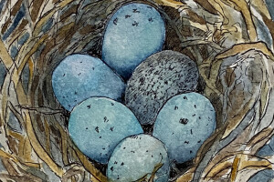 Untitled by Janis O'Grady