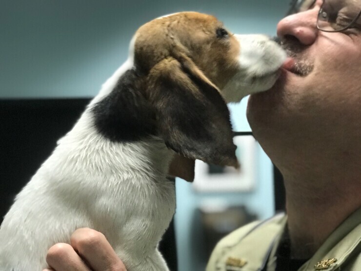 A puppy licks Rob's face as he holds it in his arms while on duty. 