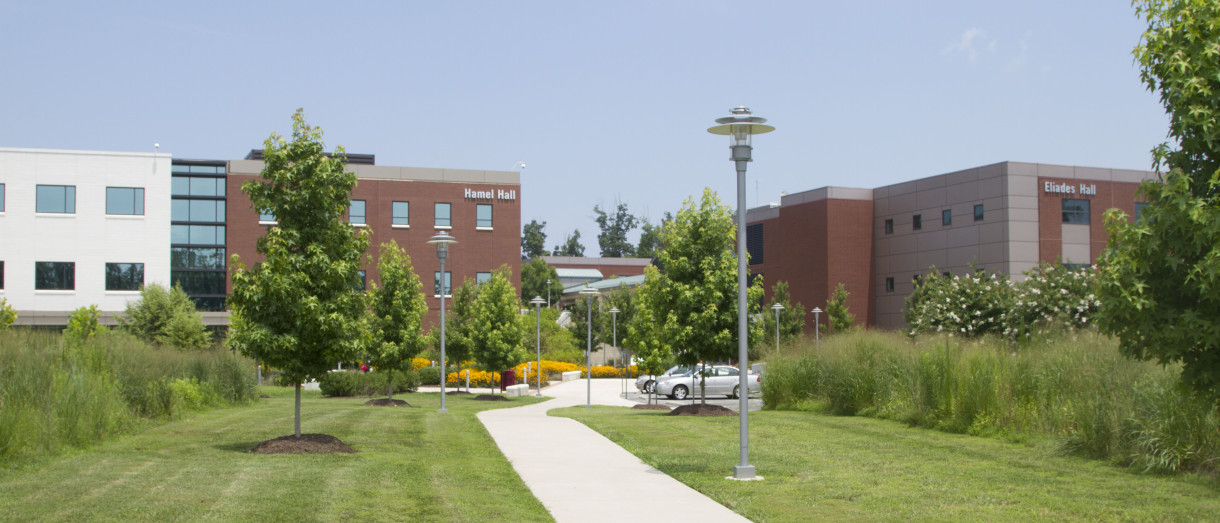 Faculty And Staff Faculty And Staff