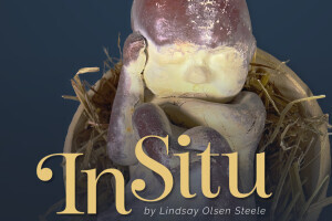 In Situ