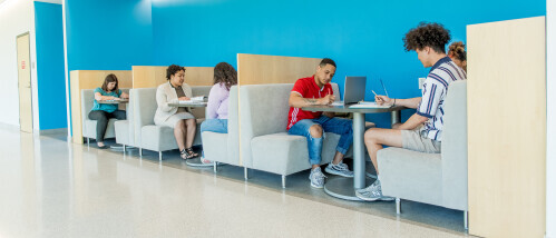 Students studying